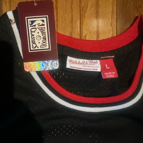 Scottie Pippen Bulls Jersey - Picture 3 of 6